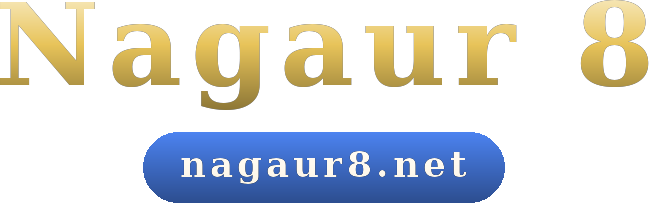 Nagaur 8 logo